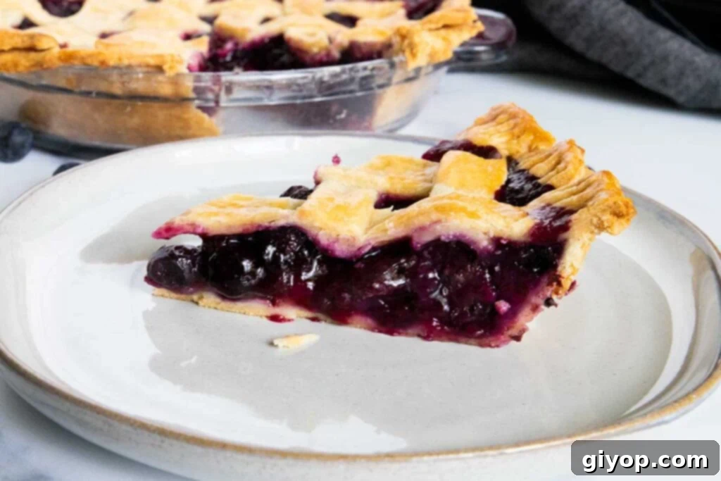 A perfectly baked slice of blueberry pie on a white plate, showing the golden-brown, flaky crust and the enticing, thick blueberry filling.
