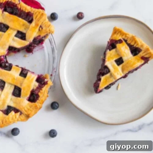 Blueberry pie slice on a white plate with the rest of the pie off to the side.