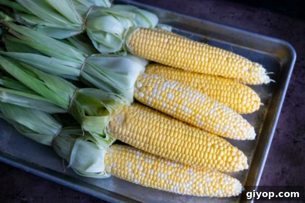 raw corn on the cob wit the husks tied back on a cooking tray
