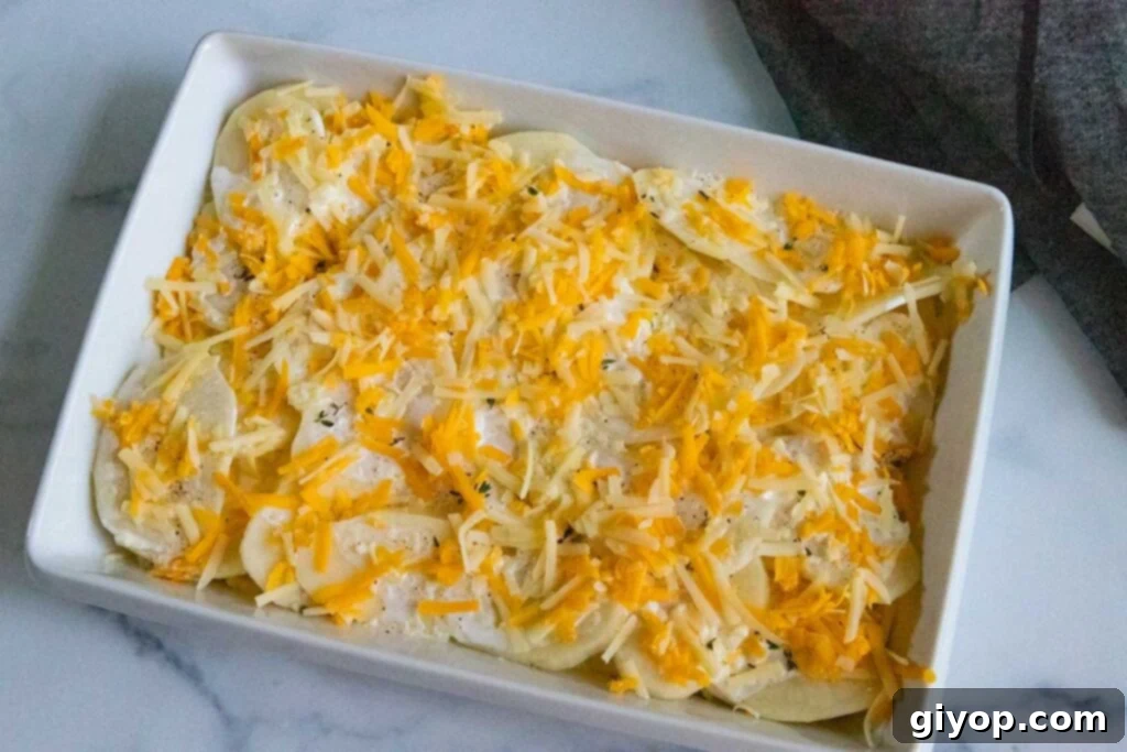Potatoes au gratin topped with shredded cheddar cheese in white baking dish.
