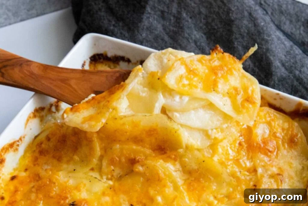Potatoes au gratin spooned out of the baking dish.