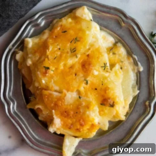 Potatoes Au Gratin with Gruyere cheese on a pewter platter.