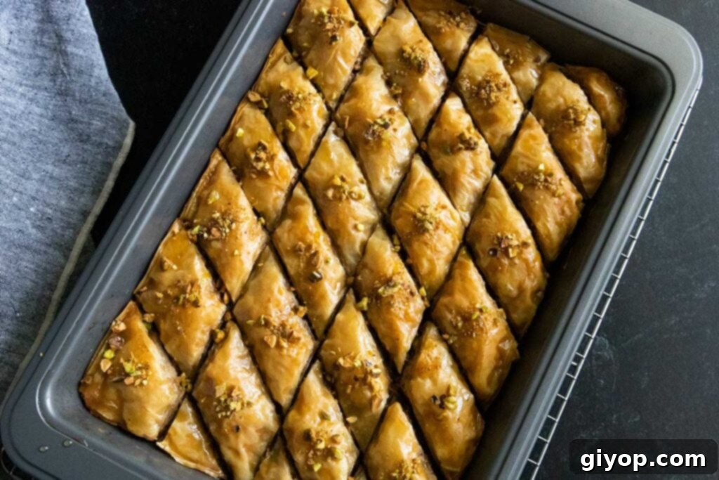 Baklava in a baking pan.