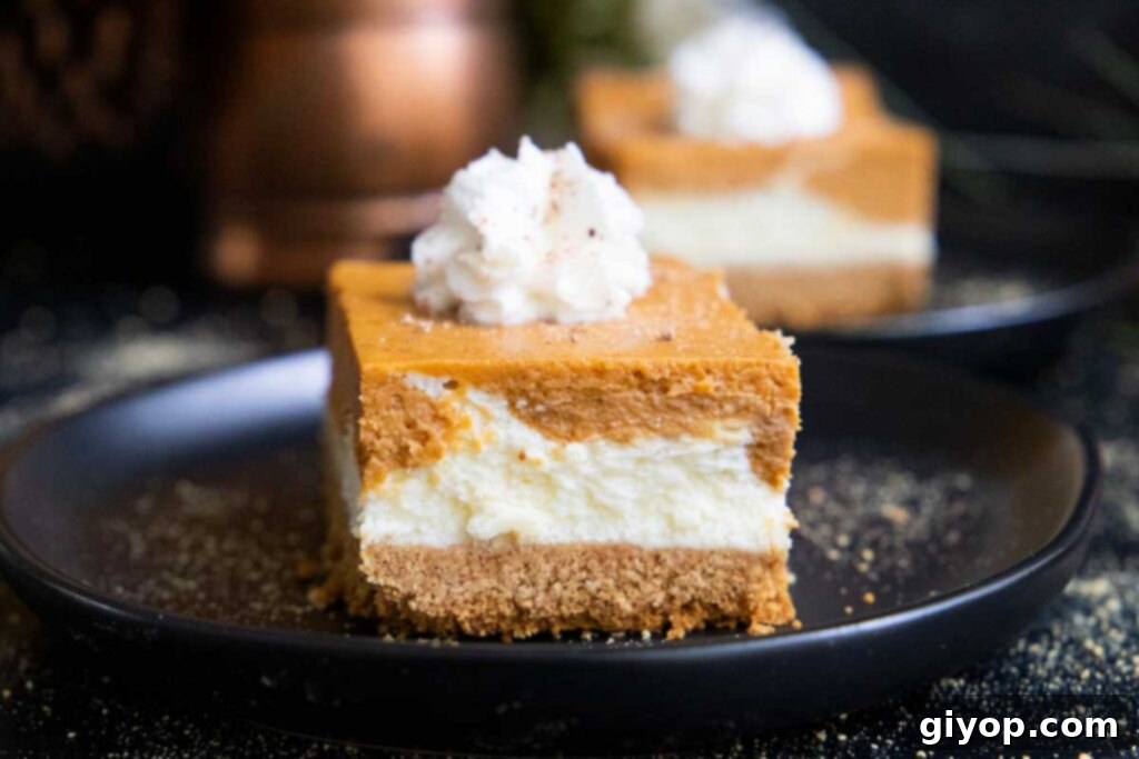 A selection of perfectly baked and cooled pumpkin cheesecake bars, garnished and ready to be served on a stylish black plate.