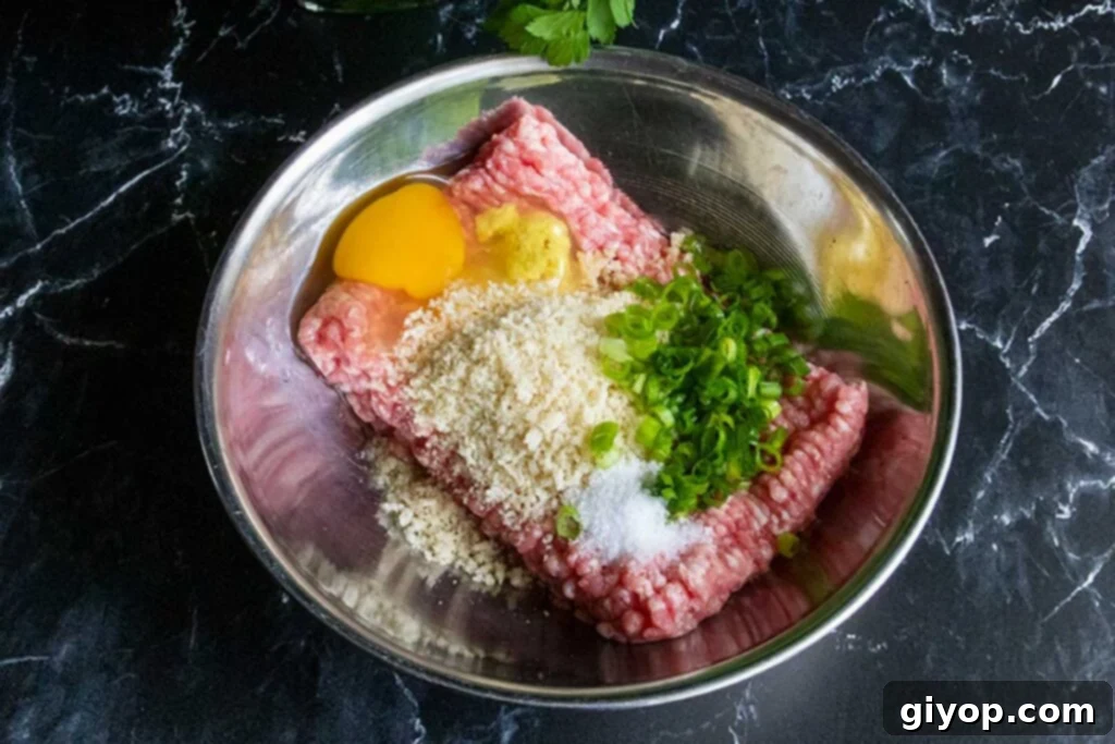 A large mixing bowl containing ground pork, panko breadcrumbs, egg, chopped green onions, and fresh ginger, ready to be combined.