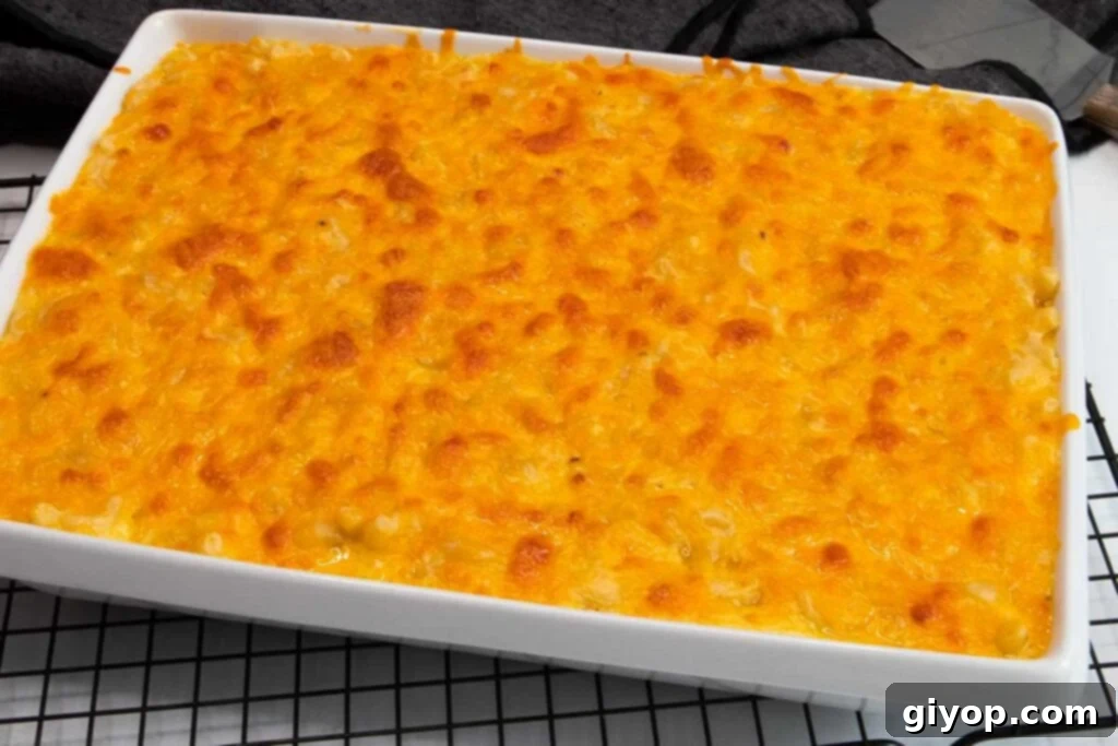 Baked macaroni and cheese in a white baking dish.