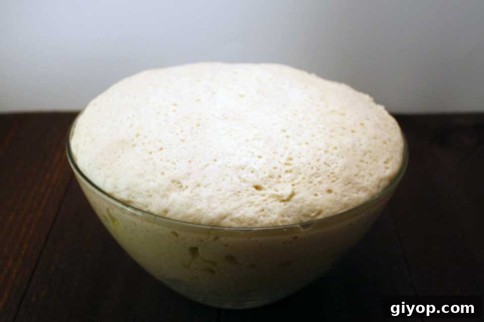 Successfully risen dough, visibly expanded and light, filling a glass bowl after its proofing period.