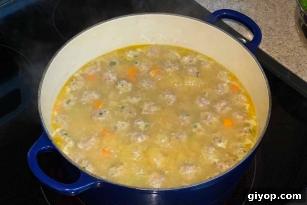 Soup in a large blue dutch oven on the stove.