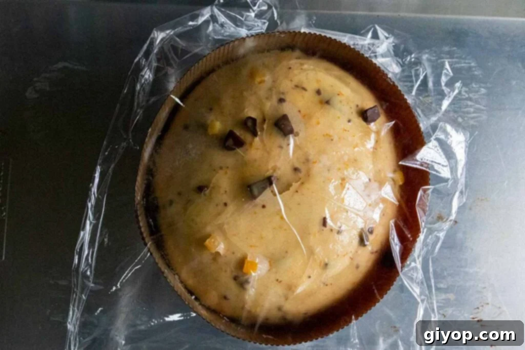 Decadent Chocolate Orange Panettone 15 Risen panettone dough in its paper mold, almost ready for baking.