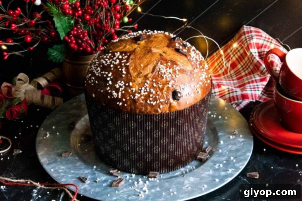 Decadent Chocolate Orange Panettone 20 A beautifully baked panettone, golden brown and perfectly domed.