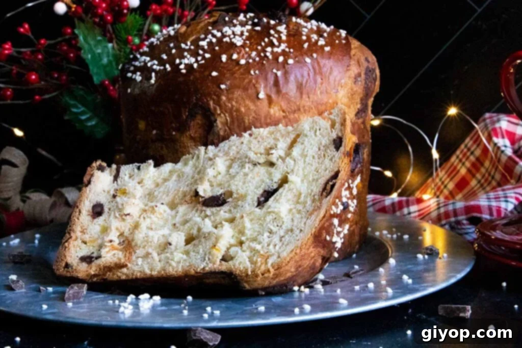 Decadent Chocolate Orange Panettone 21 A whole chocolate orange panettone on a silver platter, garnished for serving.