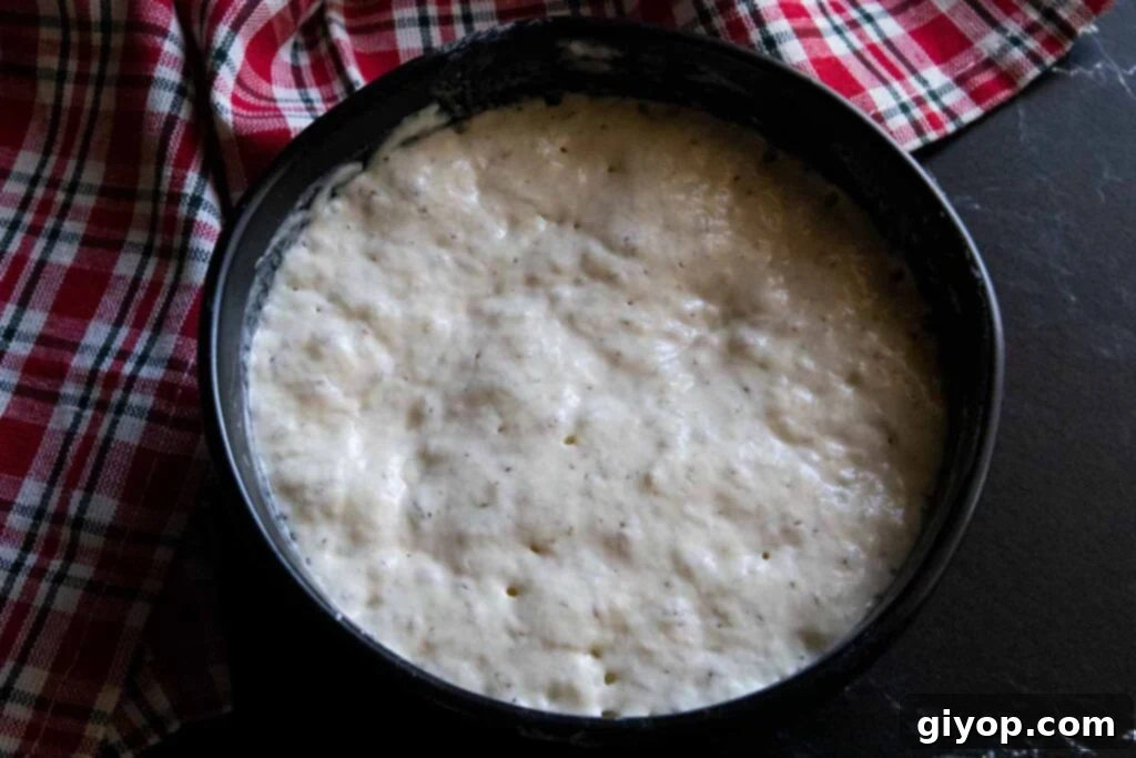 Decadent Chocolate Orange Panettone 4 A starter dough fermenting in a black bowl, signifying the beginning of the panettone making process.