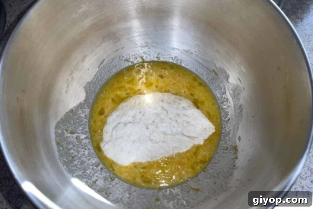 Decadent Chocolate Orange Panettone 5 Egg mixture with starter added in a mixing bowl, ready for further kneading.