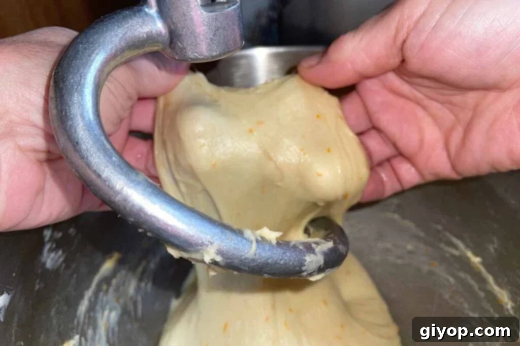 Decadent Chocolate Orange Panettone 6 Panettone dough being stretched to demonstrate the windowpane test, indicating well-developed gluten.