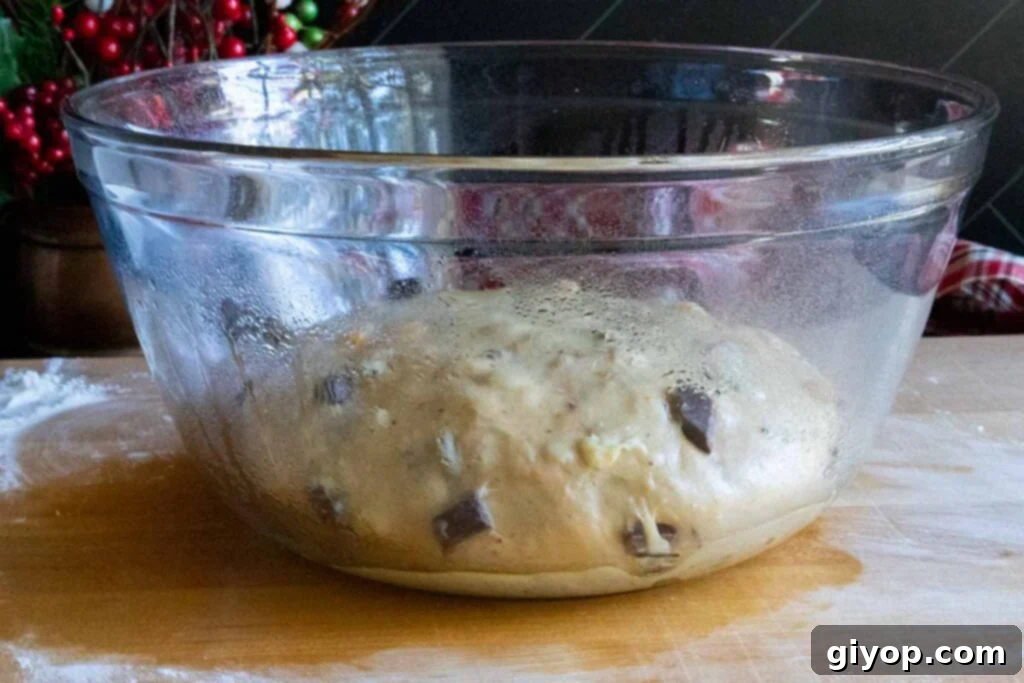 Decadent Chocolate Orange Panettone 8 Panettone dough resting in a clear glass bowl, beginning its first rise.