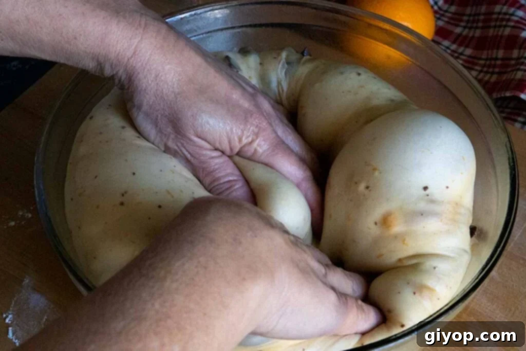 Decadent Chocolate Orange Panettone 9 Hand gently punching down risen panettone dough in a bowl.