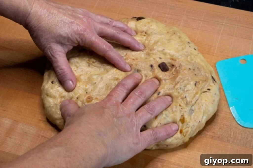Decadent Chocolate Orange Panettone 10 Panettone dough gently pressed out on a work surface.
