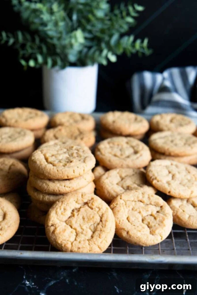 Several crispy peanut butter cookies stacked on a wire rack, showcasing their texture.