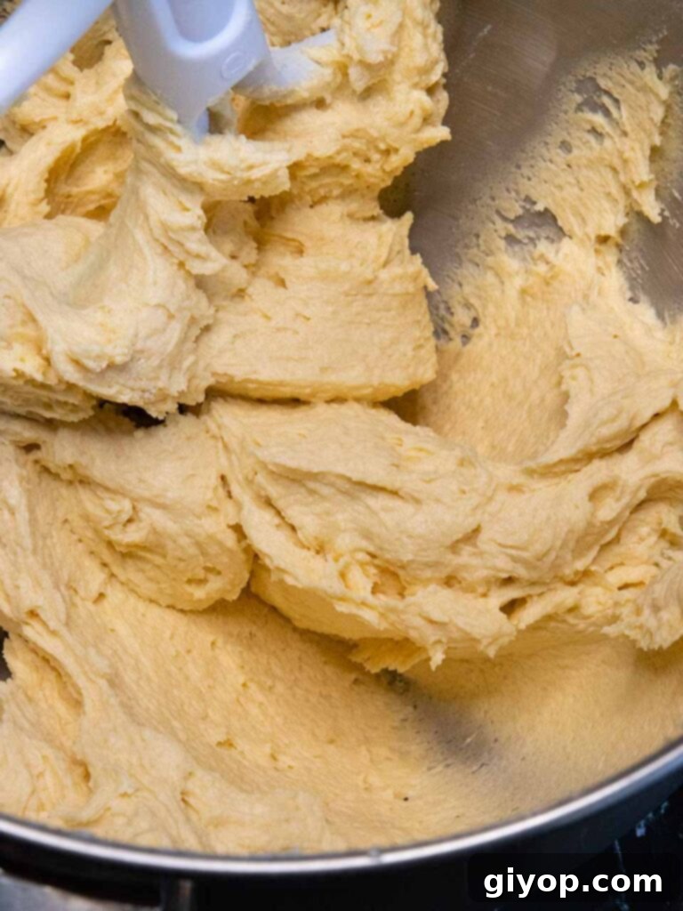 Final cookie dough with the flour added.