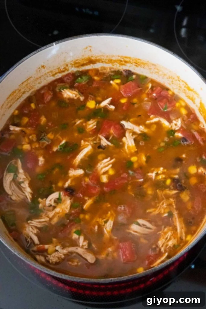 Comforting Stovetop Chicken Tortilla Soup 6 A close-up of chicken tortilla soup simmering on the stovetop, rich with ingredients.
