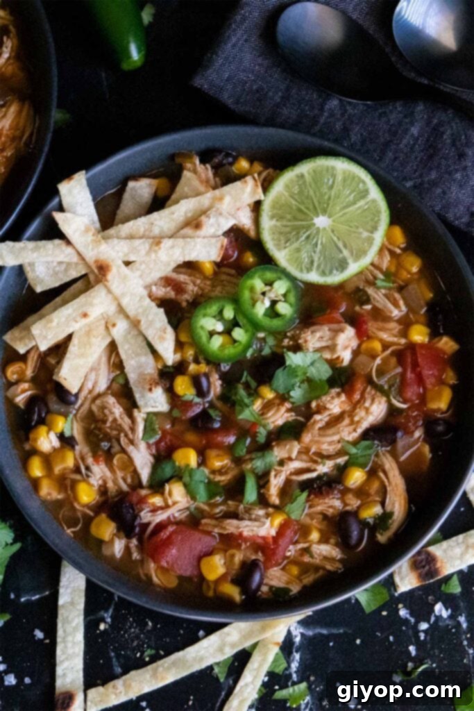 Comforting Stovetop Chicken Tortilla Soup 7 A rich bowl of chicken tortilla soup, generously garnished with avocado, cilantro, sour cream, and tortilla strips.