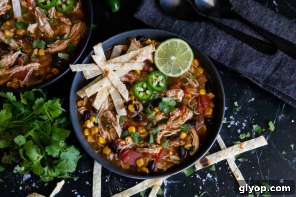 Comforting Stovetop Chicken Tortilla Soup 8 Delicious chicken tortilla soup garnished with homemade tortilla strips and fresh cilantro.