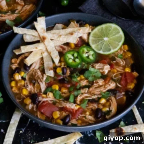 Comforting Stovetop Chicken Tortilla Soup 9 Chicken tortilla soup prepared on the stovetop