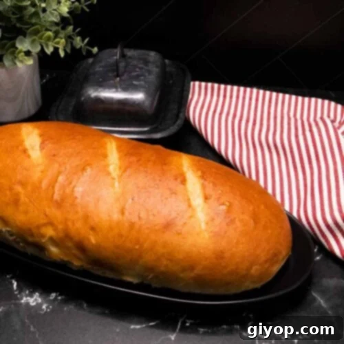 A baked loaf of Italian bread