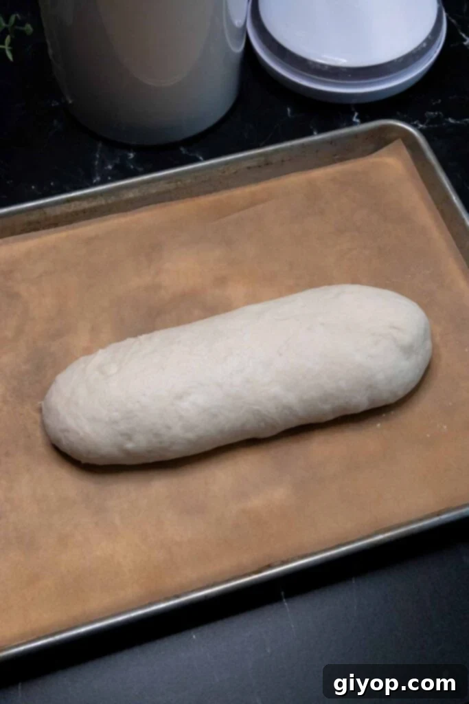 Italian bread dough undergoing its second rise on a baking sheet.