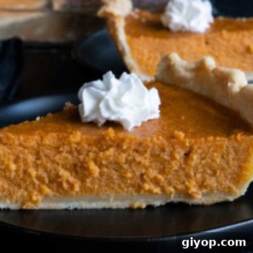 Southern Comfort Sweet Potato Pie 8 Slices of sweet potato pie on black plates