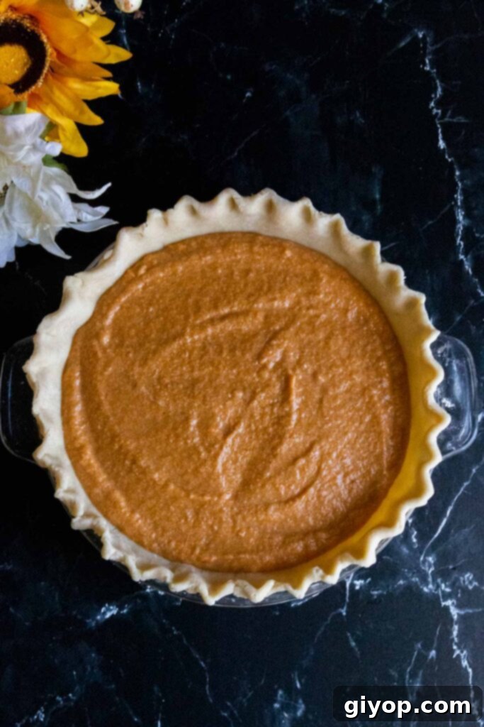 Southern Comfort Sweet Potato Pie 6 unbaked sweet potato pie