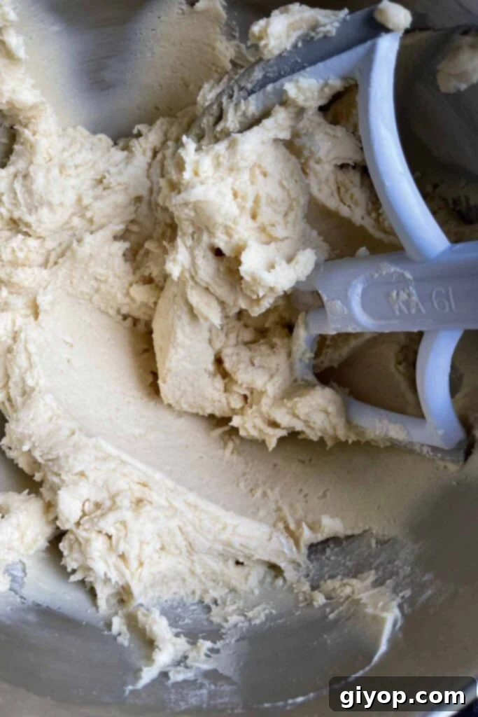Italian ricotta cookie dough in the mixing bowl.