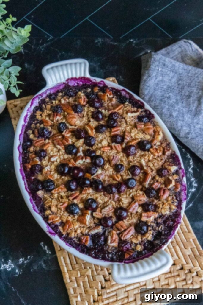 Wholesome Blueberry Baked Oatmeal 7 A close-up view of freshly baked blueberry oatmeal, golden brown and glistening with juicy blueberries, served directly in a white oval baking dish, tempting and ready for serving.