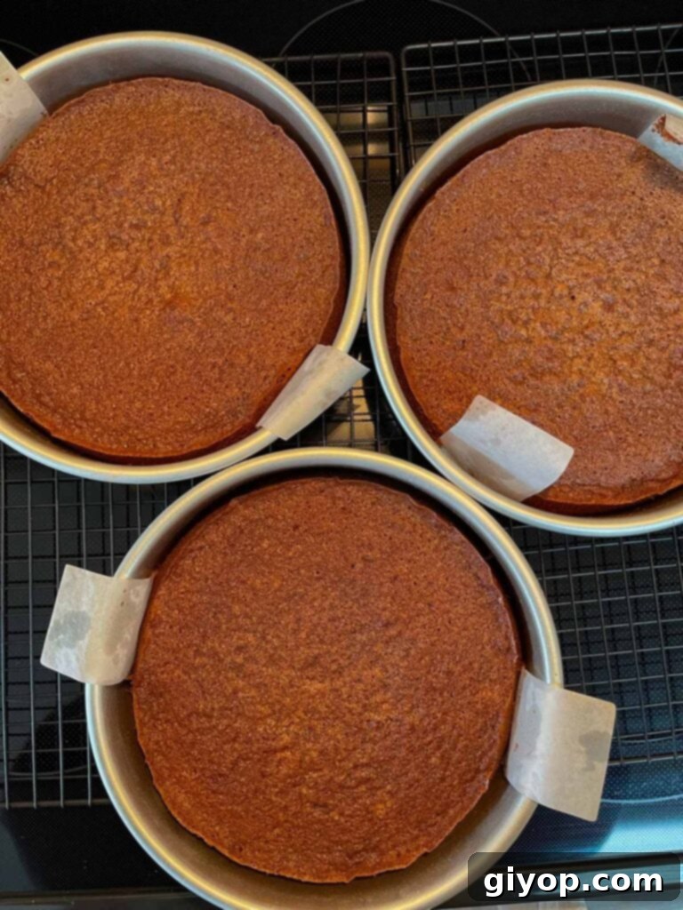 Baker's german chocolate cake layers in three round cake pans.