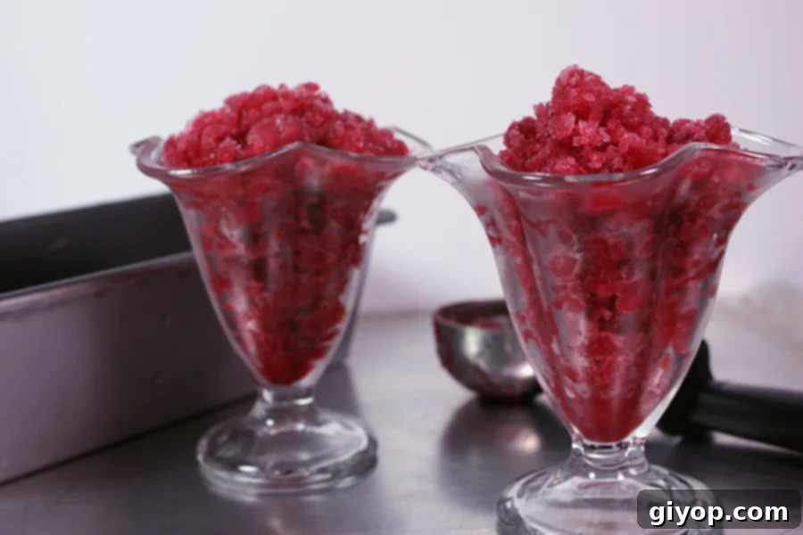 Multiple portions of Blood Orange Granita served in elegant sorbet glasses, arranged on a metal sheet pan.
