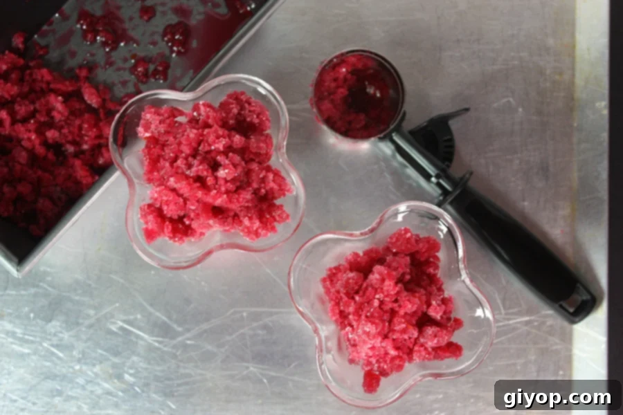 Blood Orange Granita, freshly scraped into icy flakes, spread across a metal sheet pan, ready to be served.