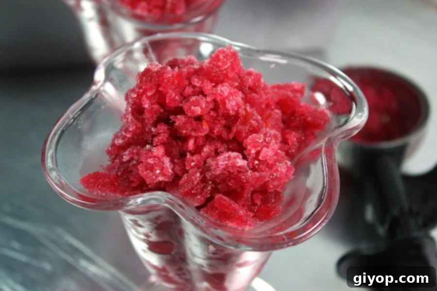 A close-up of Blood Orange Granita in a single sorbet glass, showcasing its delicate, flaky texture.