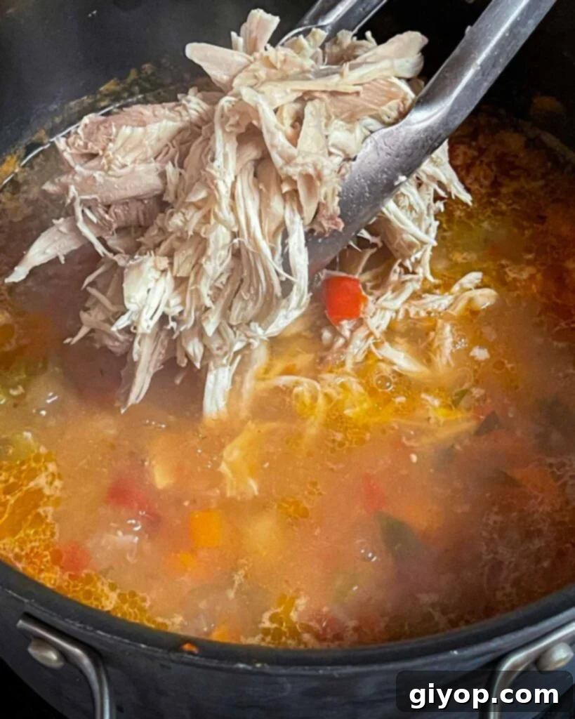 Shredded chicken being added back to the stock pot.