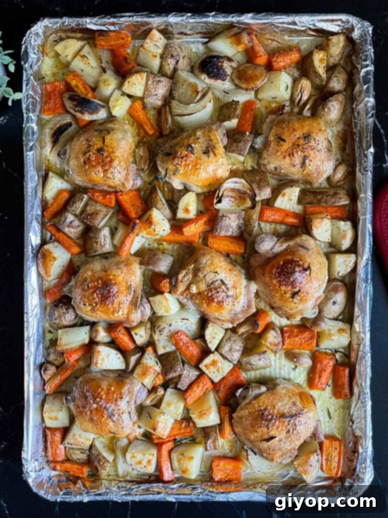 One pan of golden-brown roasted chicken and tender vegetables, glistening with flavorful juices, freshly removed from the oven.