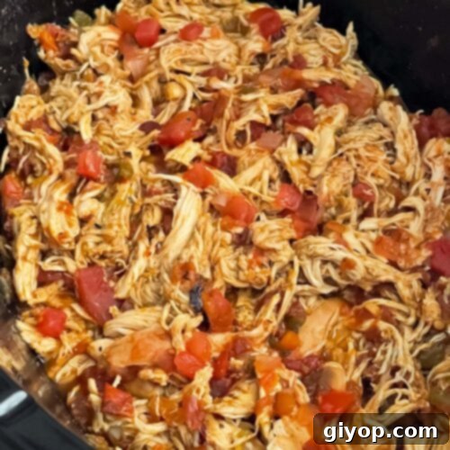 Shredded Mexican chicken in the crock of a slow cooker.
