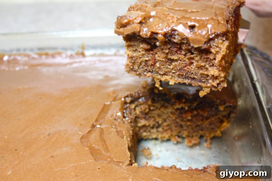 A perfectly sliced piece of Aunt Ree's Chocolate Cake, showcasing its moist texture and fudgy icing, resting on a spatula.