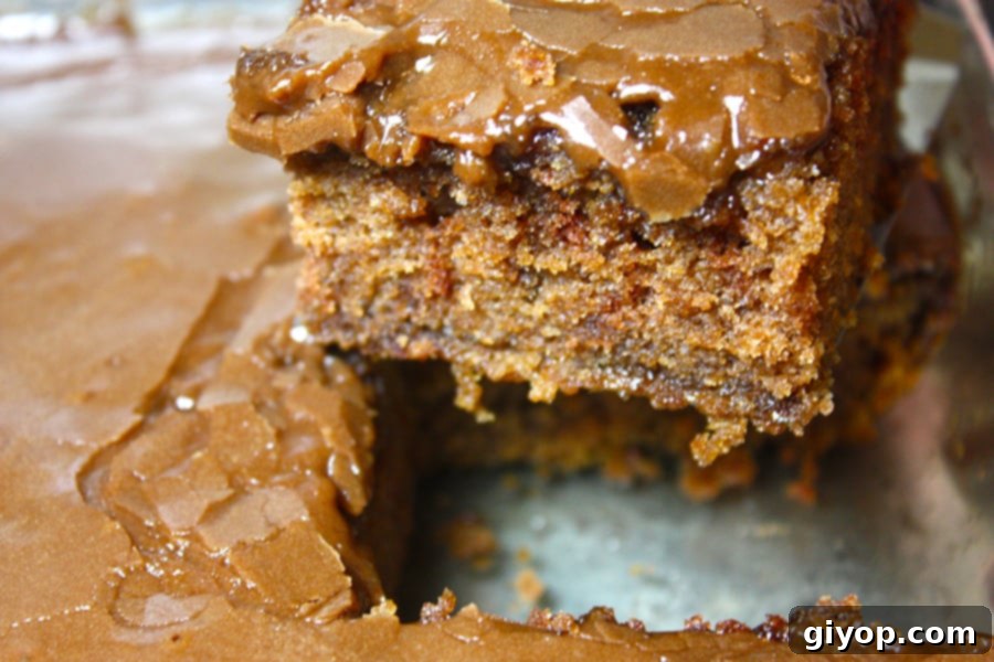 Aunt Ree's Chocolate Cake - This recipe is easy, made from scratch and is the best chocolate cake ever!