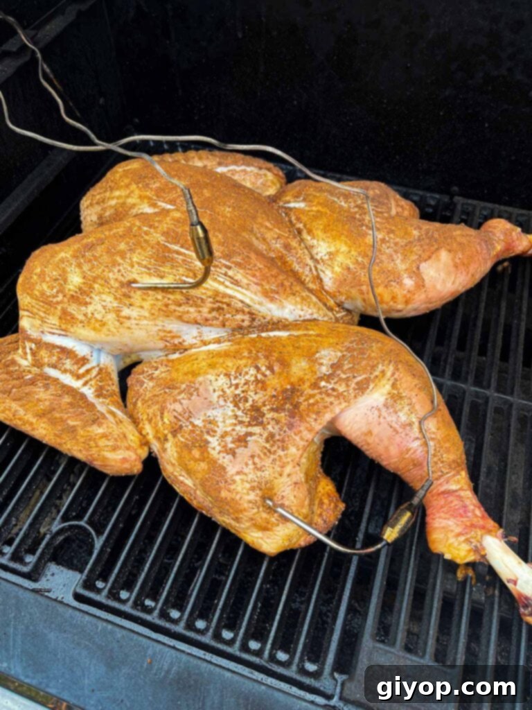 Ultimate Dry Brined Spatchcock Turkey 12 A spatchcocked turkey on a masterbuilt electric grill.