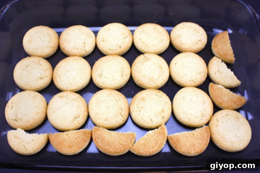 The initial layer of classic shortbread cookies laid out neatly at the bottom of a glass baking dish, ready for the first creamy layer.