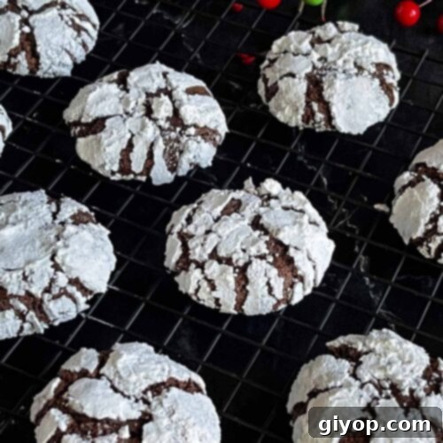 Close-up of baked chocolate crinkle cookies on a wire rack, covered in powdered sugar.