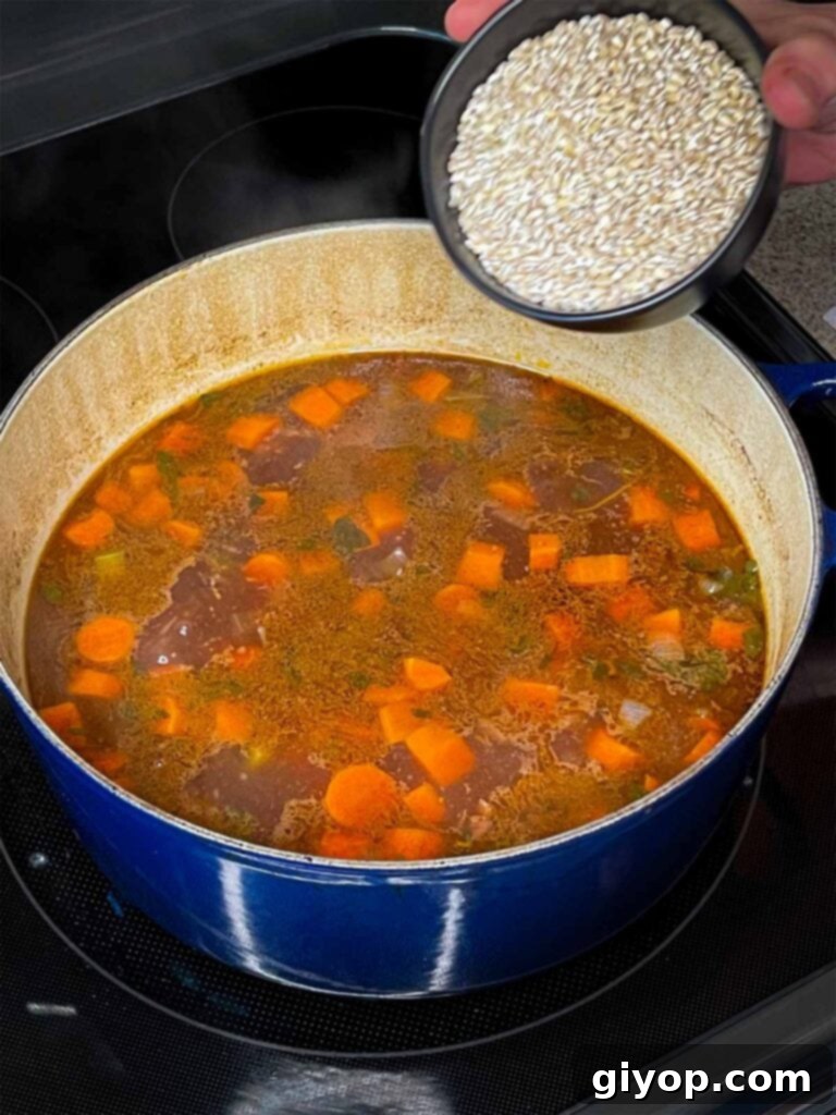 Adding wholesome pearl barley to the simmering beef and vegetable soup in a Dutch oven, completing the main ingredients.
