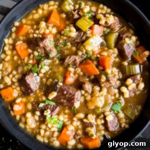 A close-up of a dark bowl of beef barley soup, garnished with fresh parsley.
