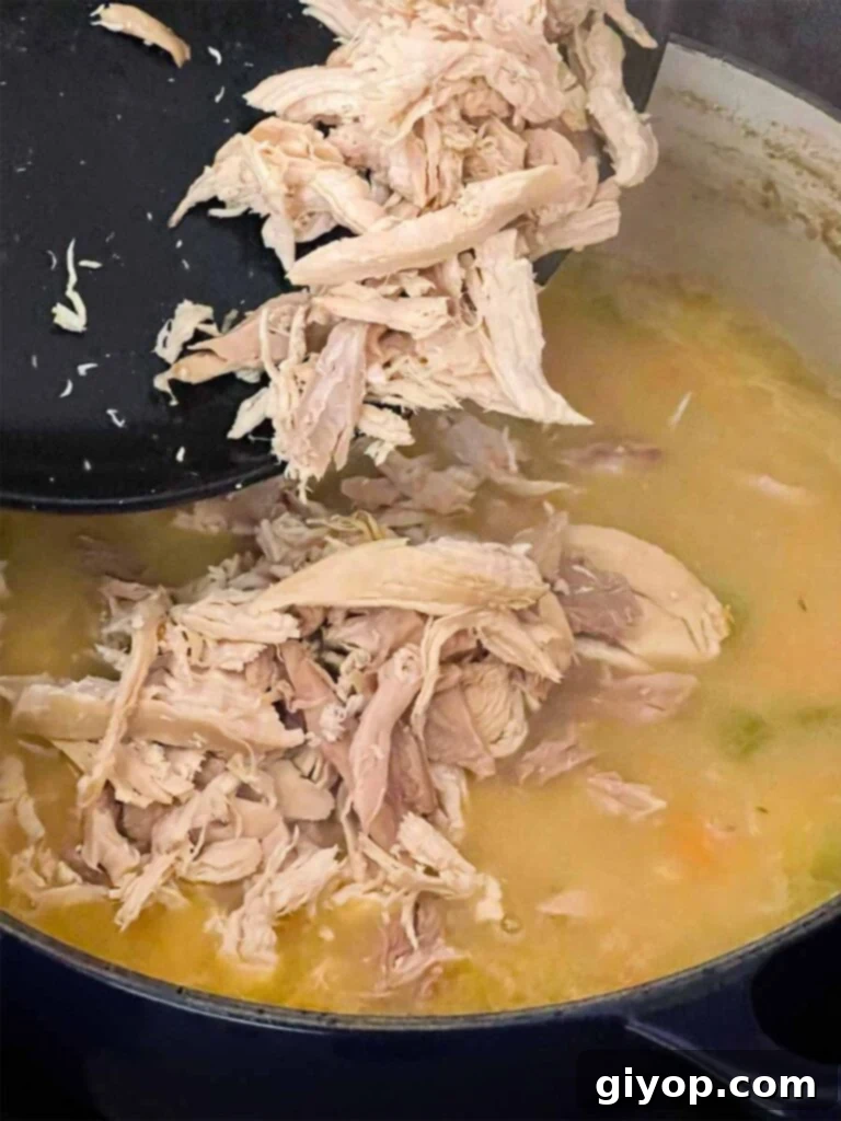 Shredded cooked chicken being added to a creamy, rich chicken soup base in a Dutch oven.