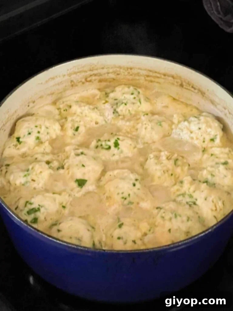 Homemade chicken and dumplings simmering gently in a large Dutch oven, with tender, puffed-up dumplings.