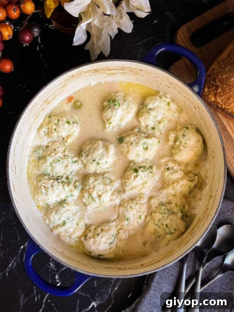A full Dutch oven brimming with perfectly cooked homemade chicken and dumplings, ready to be served.